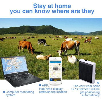 GPS трекер на солнечных батареях и влагозащитой V26 для коров, овец-5